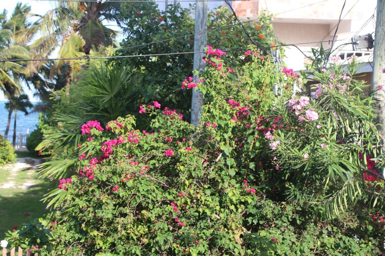 Amanda'S Place Casa Amancer - Sea View, Pool And Tropical Garden Caye Caulker Exterior foto