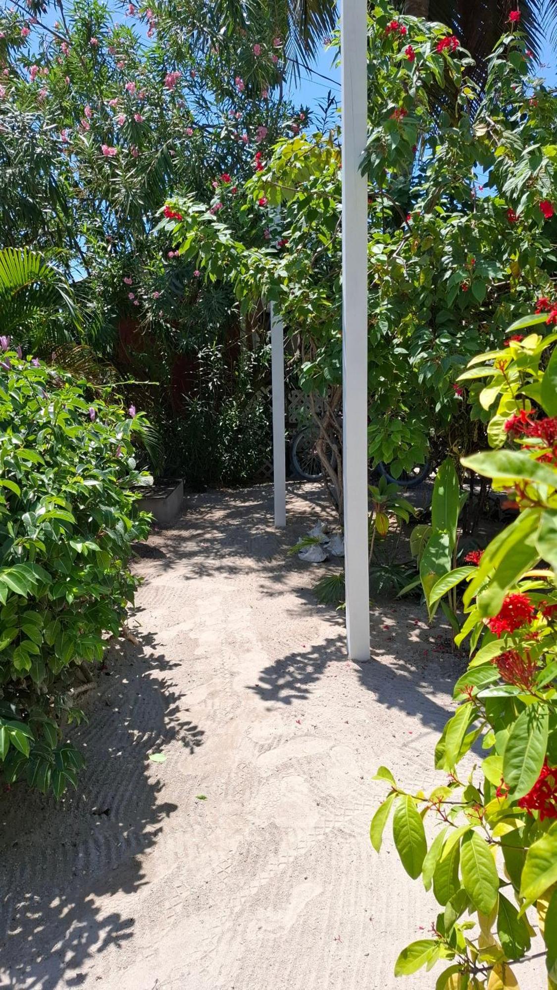 Amanda'S Place Casa Amancer - Sea View, Pool And Tropical Garden Caye Caulker Exterior foto