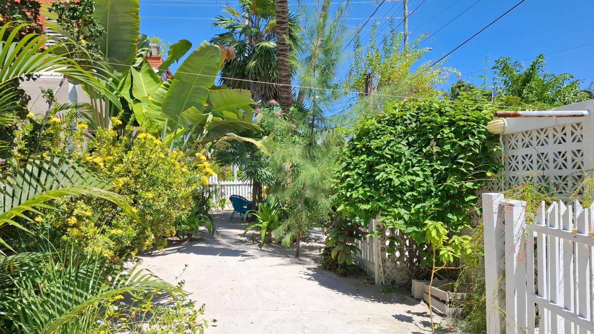 Amanda'S Place Casa Amancer - Sea View, Pool And Tropical Garden Caye Caulker Exterior foto