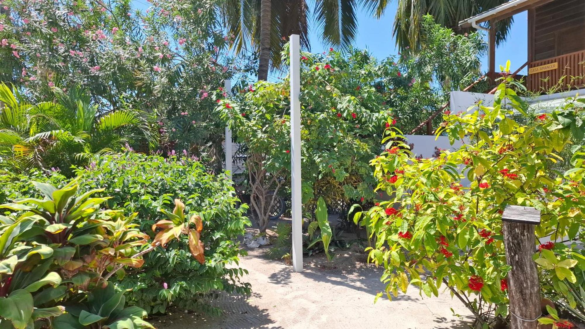 Amanda'S Place Casa Amancer - Sea View, Pool And Tropical Garden Caye Caulker Exterior foto