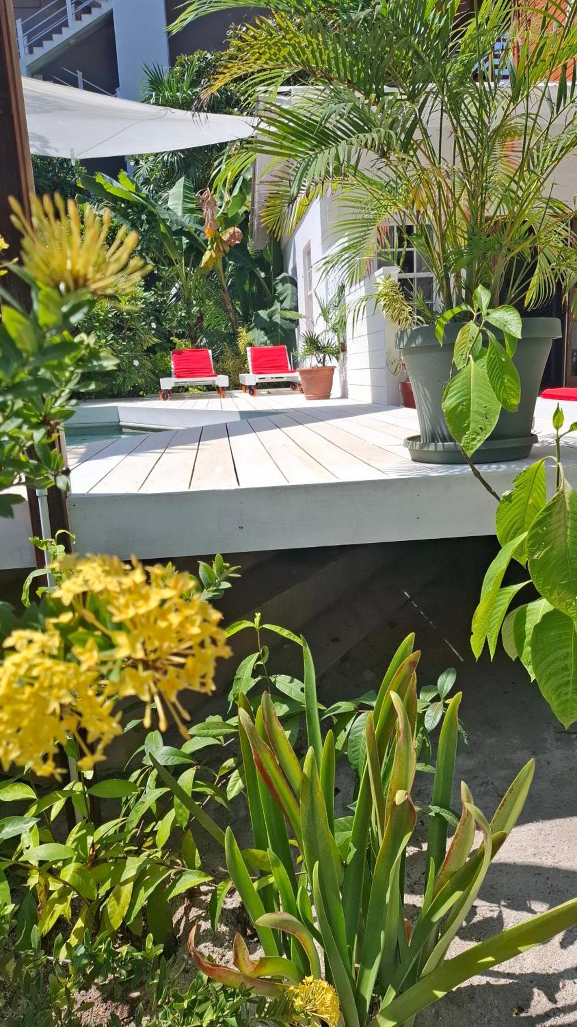 Amanda'S Place Casa Amancer - Sea View, Pool And Tropical Garden Caye Caulker Exterior foto